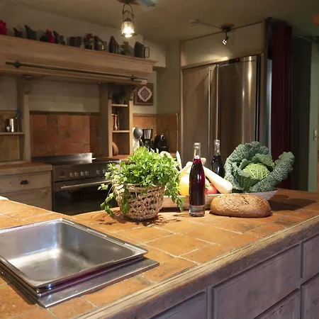 With Furry Friends *