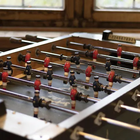 With Furry Friends * Vielsalm